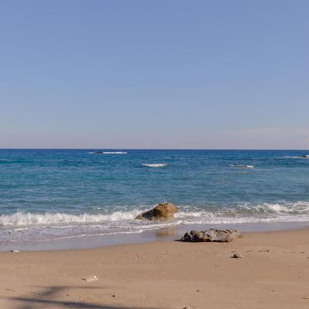 Albatros Suite Stegna Beach Αρχάγγελος Εξωτερικό φωτογραφία