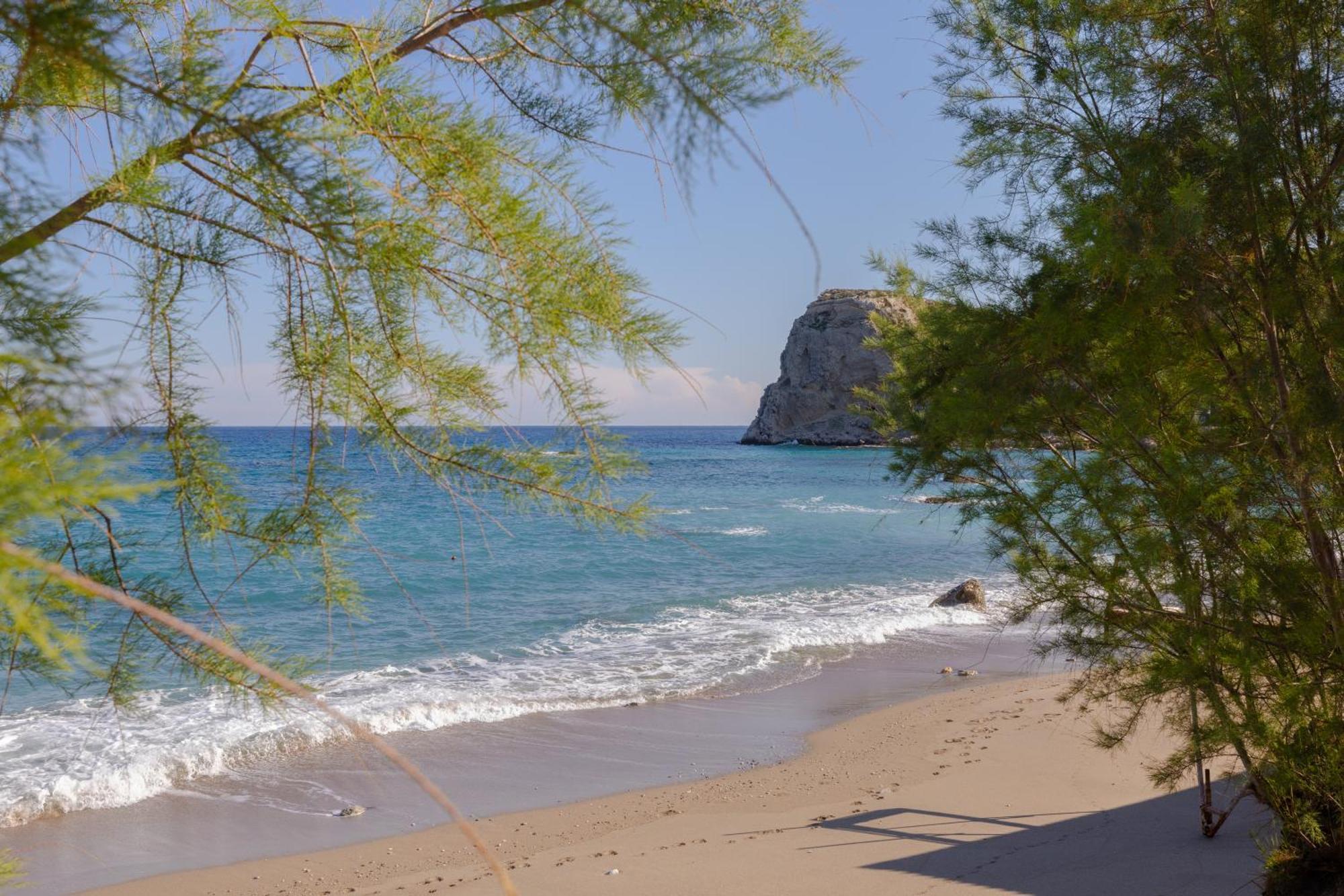 Albatros Suite Stegna Beach Αρχάγγελος Εξωτερικό φωτογραφία