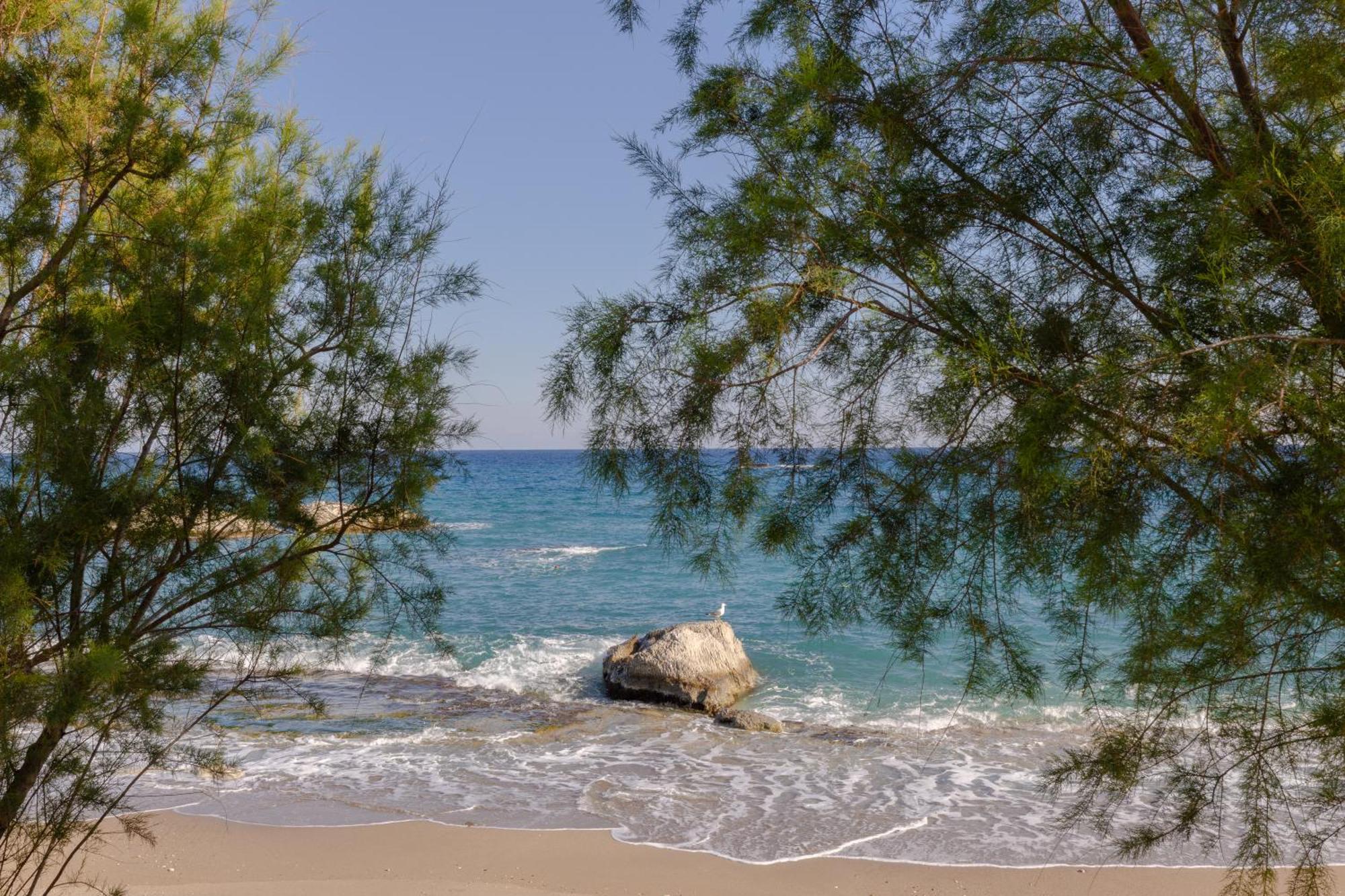 Albatros Suite Stegna Beach Αρχάγγελος Εξωτερικό φωτογραφία